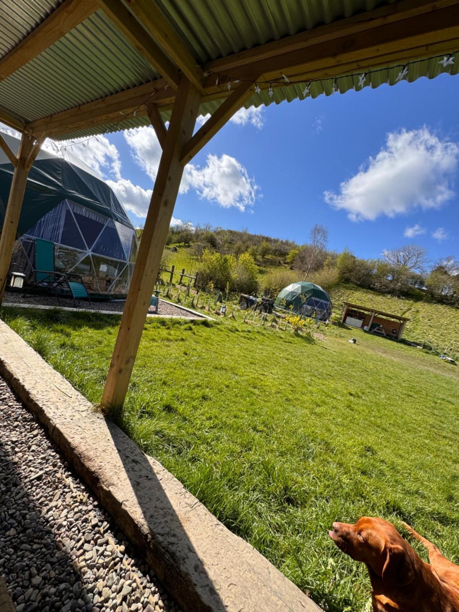 Отель Geodesic Dome Glamping Лланидлос Экстерьер фото